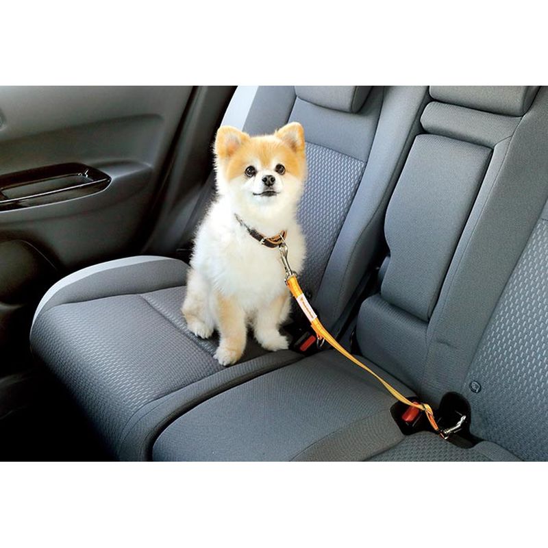 新品 ホンダ フィット GR 純正 ペット車外飛び出し防止リード Mサイズ(中 大型犬用)