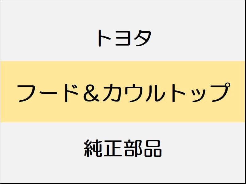 トヨタ ヴィッツ P13# フード&カウルトップ
